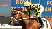 Rain Could Upset Autumn Glow's Verry Elleegant Stakes Bid, Says Trainer