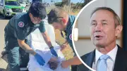 Roger Cook se disculpa por el parto en la autopista de Kwinana y el error de cama en Midland