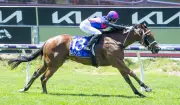 Sean and Jake Casey Aim for Second Magic Millions 2YO Classic Victory