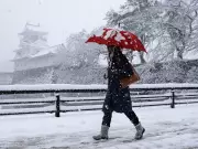Second Australian Skier Dies in Japan Amid Avalanche and Record Snowfall