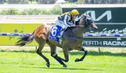 Trevor Andrews Confident Daryte Can Bounce Back in Magic Millions 2YO Classic