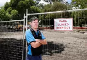 Victoria Park Tree Removal Investigation Delayed by Peer Review Process