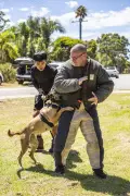 WA Police Dog Rules Spark Union Concerns Over Arrest Delays