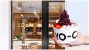 Yo-Chi's Walk Don't Run Club: Final Day for Free Frozen Yoghurt via Steps