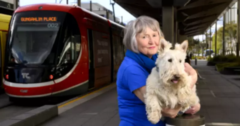 ACT Government Considers Allowing Pets on Public Transport Services