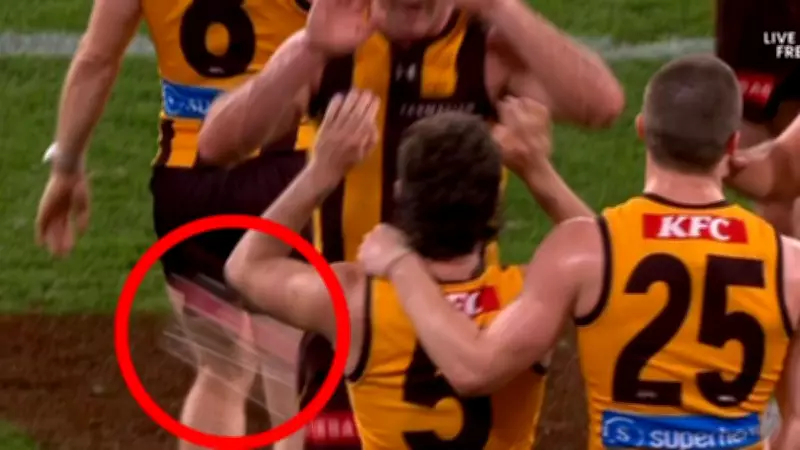 AFL Fan Banned for Five Years After Throwing Bottle at Hawthorn Players