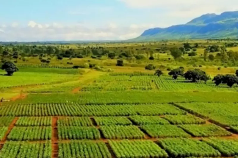 Aguia Resources Launches Brazilian-Made Fertilizer at Major Farm Expo