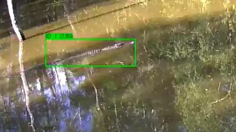 AI Crocodile Surveillance Expands Across North Queensland for Public Safety