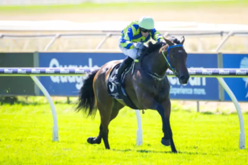 Aurum Belle Dominates Supremacy Stakes, Now Karrakatta Plate Favourite