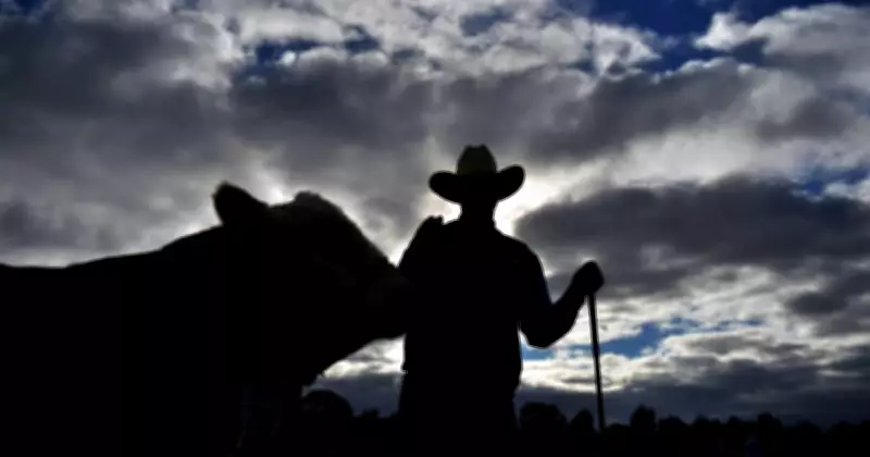 Australian Beef Farmers Face Setback in EU Trade Deal Terms