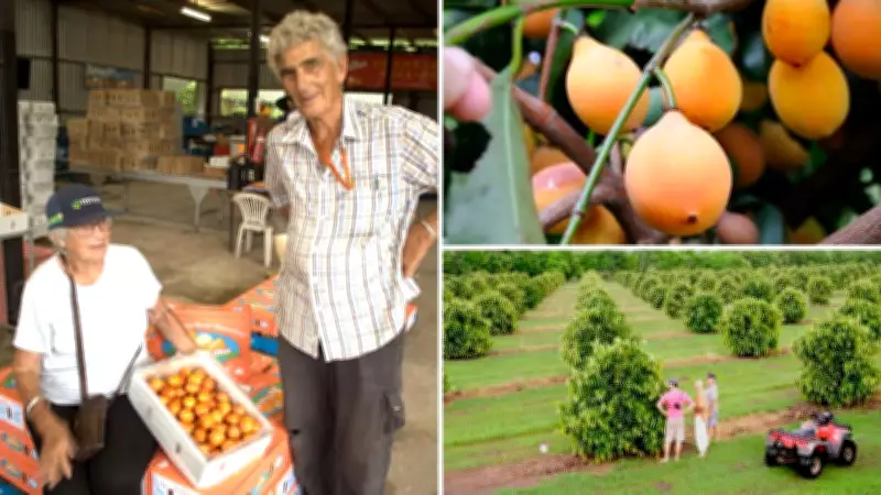 Australia's First Commercial Achacha Fruit Plantation Listed for $5 Million
