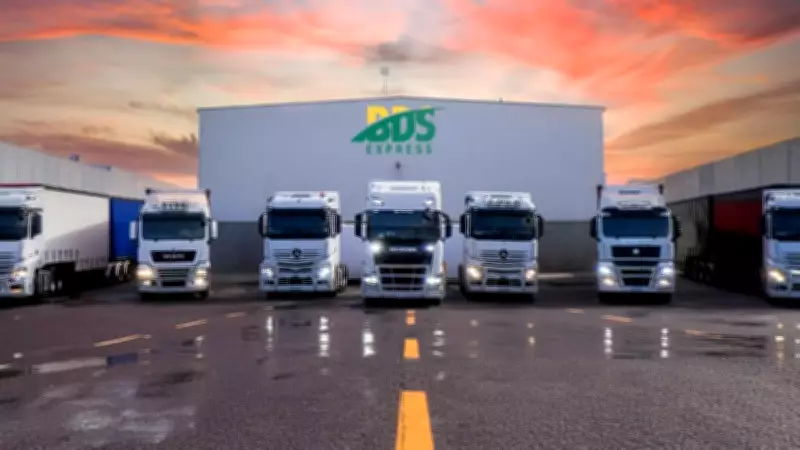 BDS Group Collapses with $641M Debt, Director Accused of Misappropriating Funds