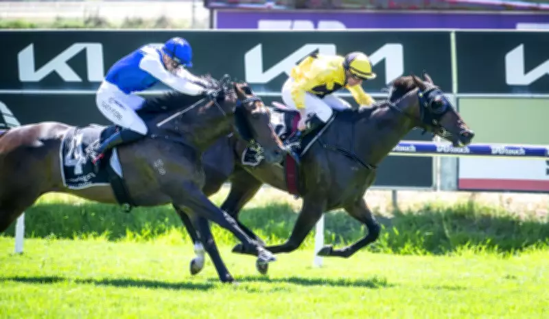 Brad Parnham Targets Bunbury Double with Fancy Red and Elite Missile