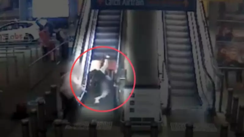 Brisbane Airport Releases Holiday Safety Footage Urging Traveller Caution