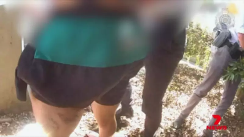 Brisbane Crime Spree: Truck Driver Bitten, Vehicles Stolen, Suspect on Run