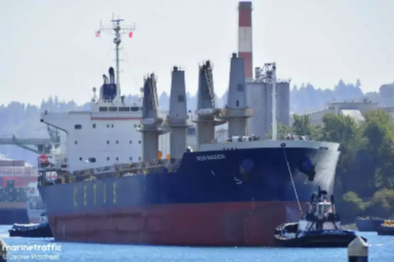 Bulk Carrier Evades Strait of Hormuz by Claiming Chinese Ownership