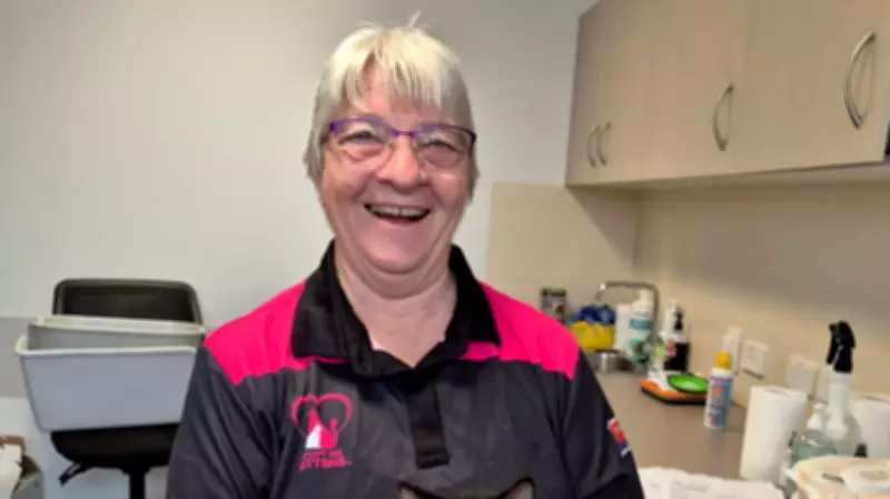 Cairns Woman Fosters 5000 Kittens, Faces $12,000 Monthly Vet Bills