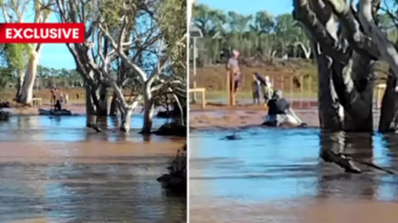 Carnarvon Man Survives 12-Hour Ordeal Clinging to Tree in Raging Floodwaters