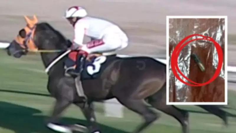 Champion Racehorse Slaughtered and Served in Soup Kitchen, Microchip Discovery Sparks Outrage