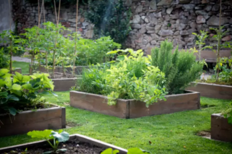 Charlie Albone's Guide to Thriving Gardens in Small, Sandy Spaces