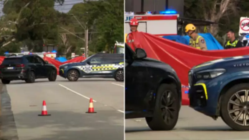 Child Survives Mulgrave Car Crash That Killed Driver, Police Launch Safety Operation