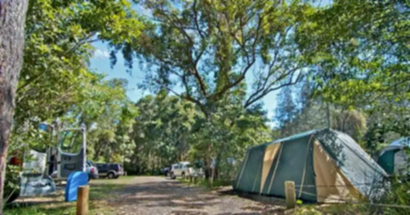 Cody Scott Johnson Sentenced for Mungo Brush Gunpoint Carjacking