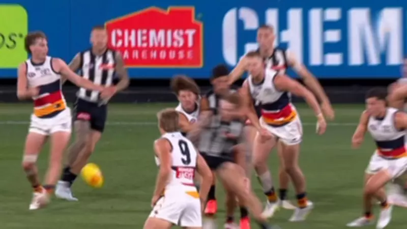 Collingwood's Desperate Tribunal Move Saves Pendlebury's Clean Record