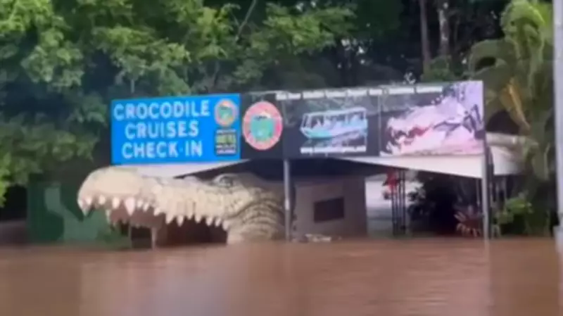 Daintree Floodwaters Destroy Popular Solar Whisper Ecotours, Owner Says 'I'm Out of Business'