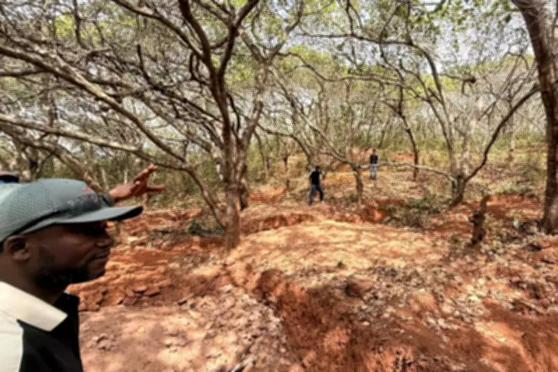 Dalaroo Metals Strikes High-Grade Gold in West Africa's Birimian Belt