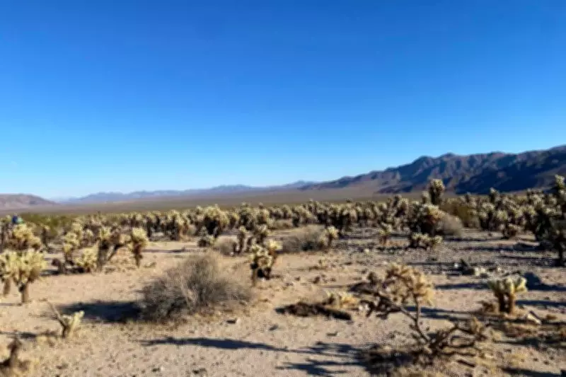 Dateline Resources Expands California Rare Earths Project by 1800%