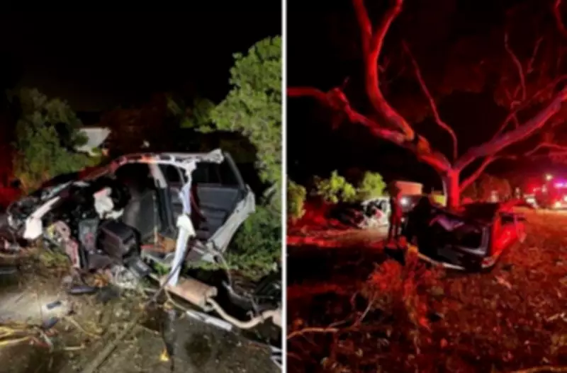 Driver Missing After High-Speed Crash Splits Car in Two in Melbourne's West