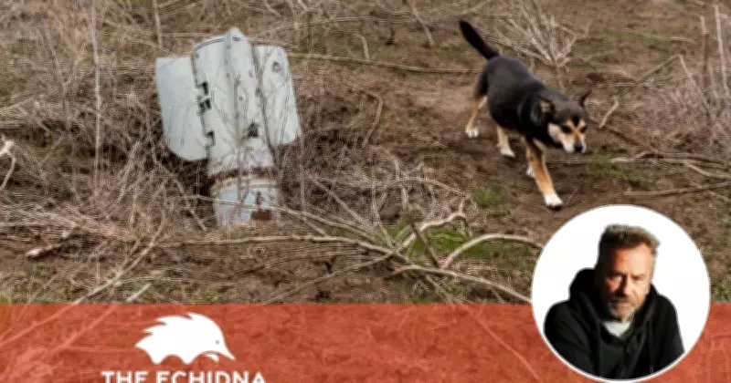 Echidna Rescuers Save Pets from Global War Zones Amid Conflict
