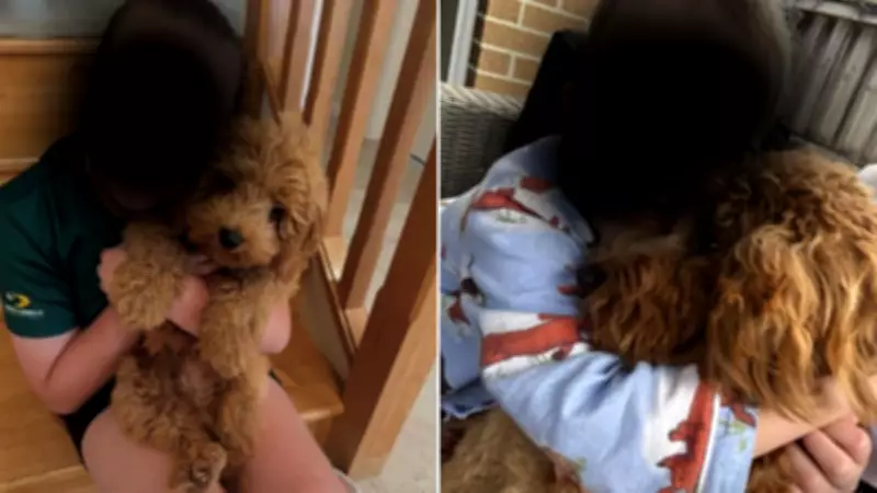 Family's Beloved Dog Dies After Ingesting Popular Nylon Chew Toy