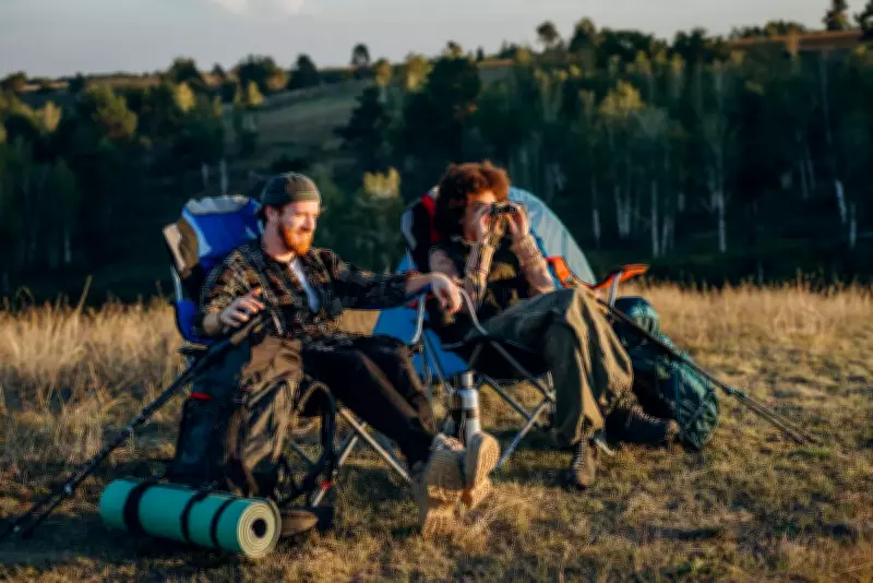 Finding the Perfect Travel Partner Online: A New Social Phenomenon Explored