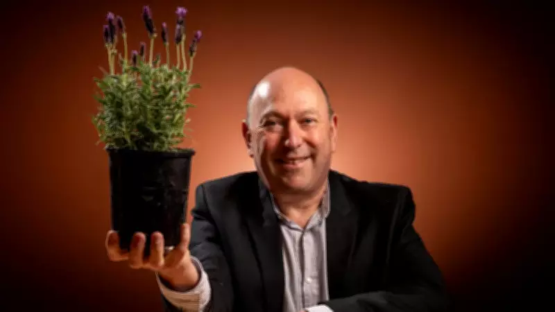 Garden Herb Shows Promise as Breakthrough in PTSD Treatment Research