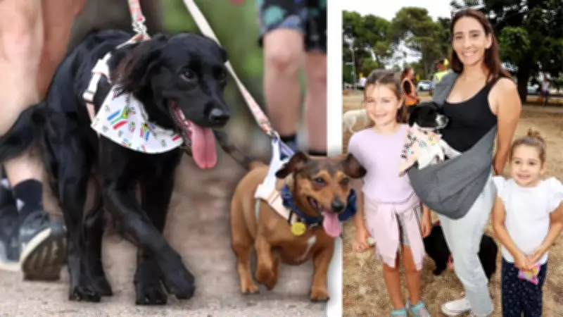 Geelong's Pooch Parade Shines in Walk for Animal Shelter Support