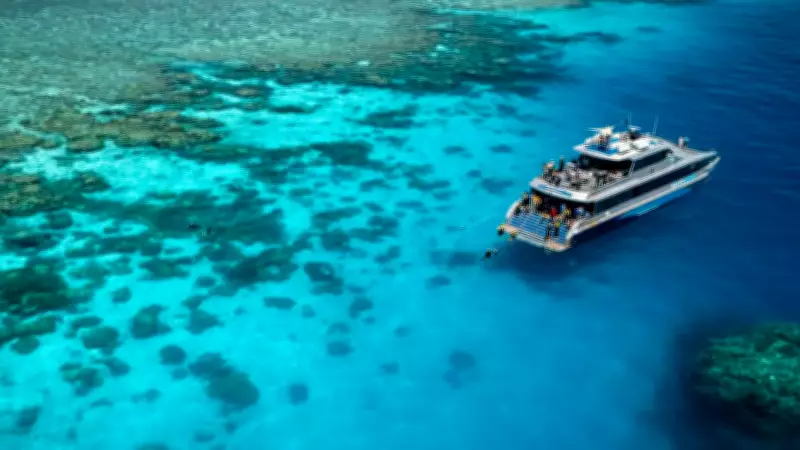 Great Barrier Reef Tour Operators Warn of Price Rises After 50% Cost Spike