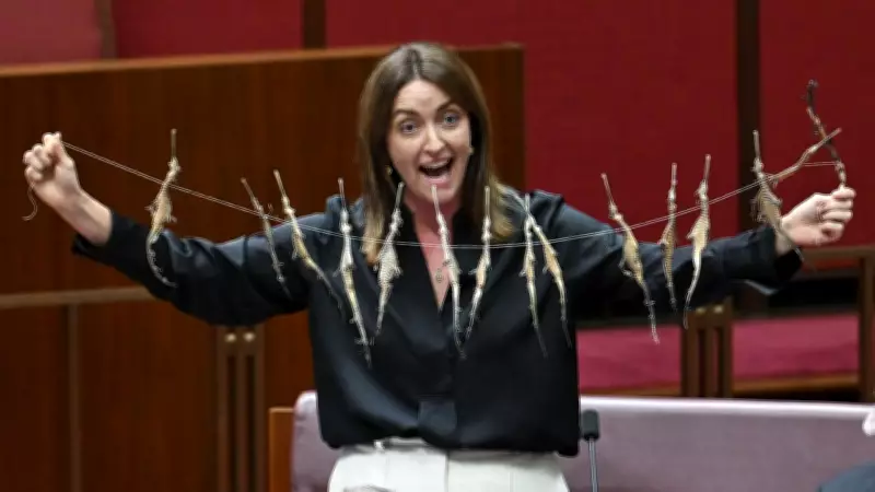 Greens Senator Displays Dead Seahorses in Senate, Demands Santos Accountability for Algae Bloom