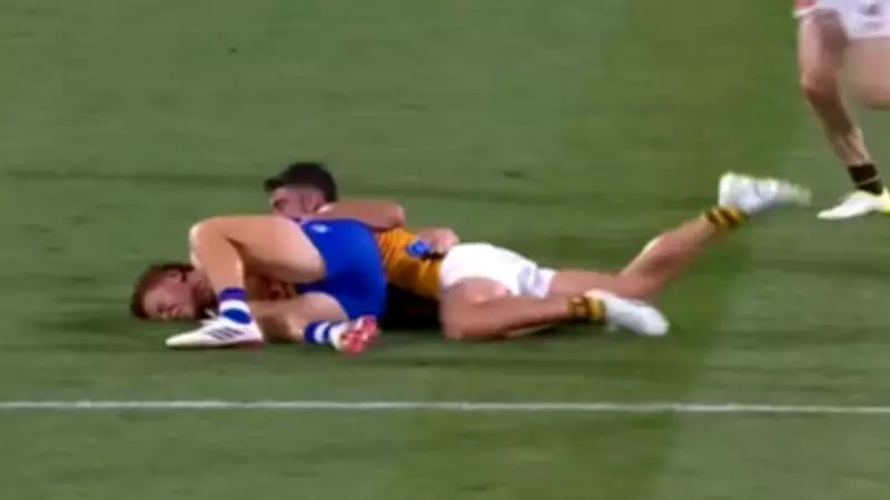 Hawthorn to Challenge Newcombe's Suspension at AFL Tribunal