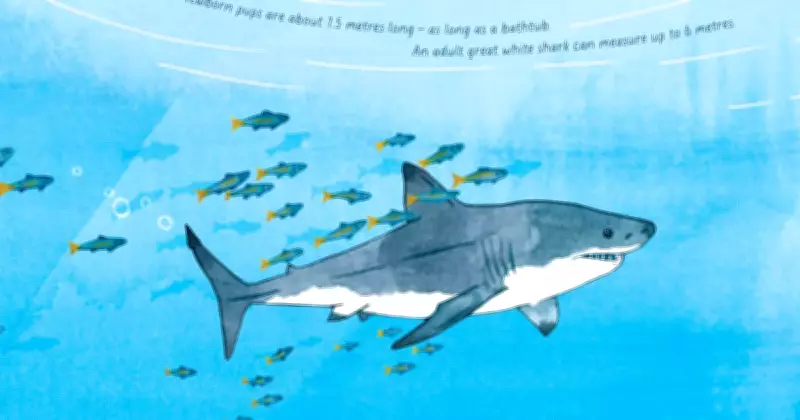 How Rescuing Fluffy the Shark Transformed Our Community's Perspective
