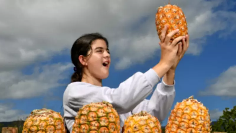 Iconic Pineapple Festival Faces Cancellation Over Parking Crisis