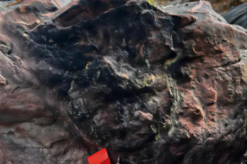 Infini Resources Prepares Drilling Rigs for High-Priority Uranium Targets in Athabasca Basin
