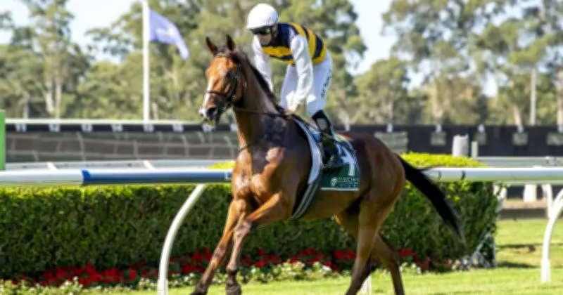 Irish Import Cap Saint Martin Poised for Breakthrough at Randwick's Kensington Meeting