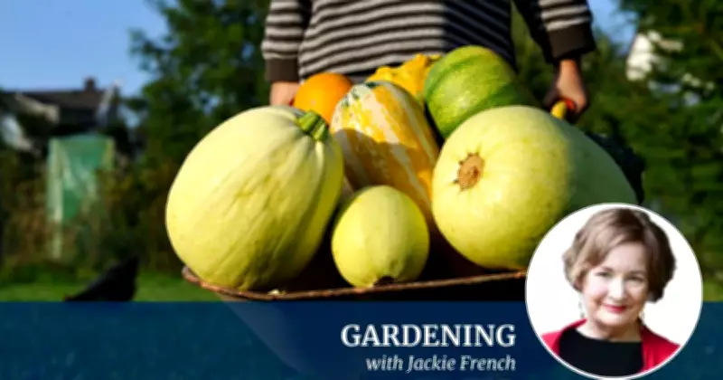 Jackie French's Top 10 Essential Tips for Every Gardener