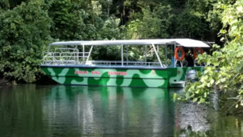 Jungle King Crocodile Found Upside Down 60km Out to Sea After Daintree Flash Flooding