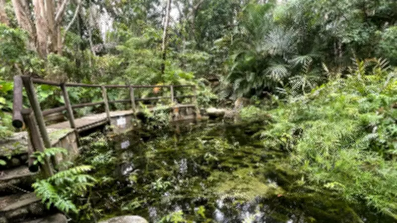 Kewarra Beach Resort Remains Closed, Future of Eco-Retreat Uncertain