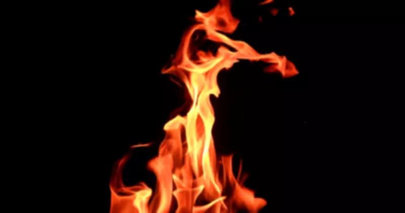 Kirrawee Man Sentenced to Prison for Igniting Two Royal National Park Fires