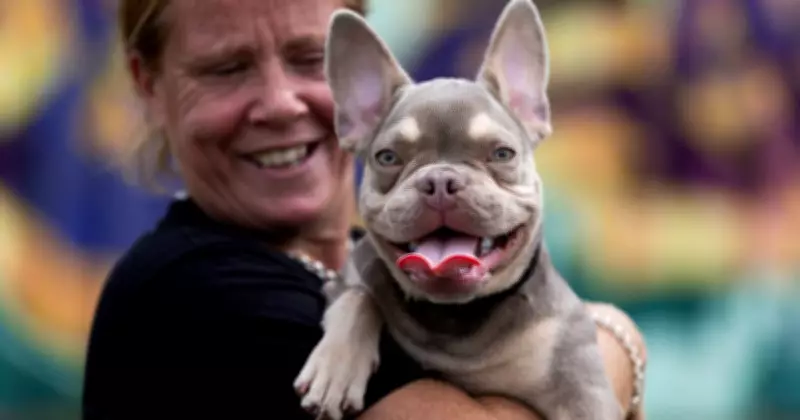 Kylie Wilson Alleges Unnecessary Dog Deaths at Port Stephens Pound