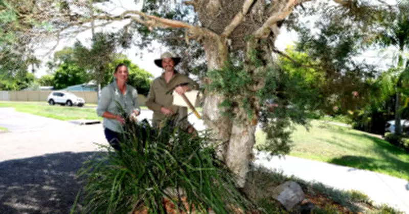 Lake Macquarie's Free Plant Verge Garden Policy Praised by Anna Noon