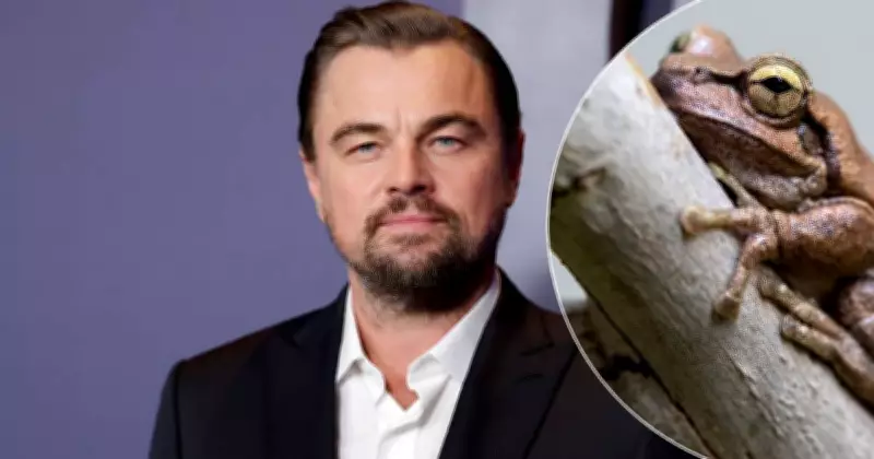 Leonardo DiCaprio Backs Campaign to Protect Littlejohn's Tree Frog from Hunter Transmission Project